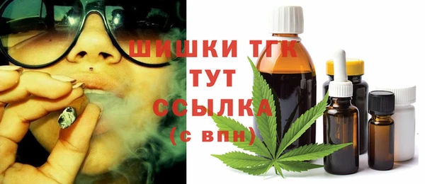 тгк Новозыбков