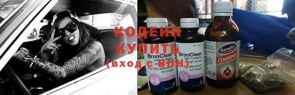 тгк Новозыбков