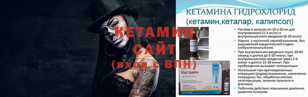 тгк Новозыбков