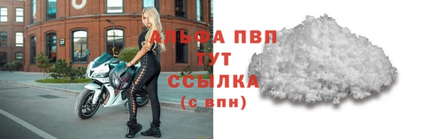 тгк Новозыбков