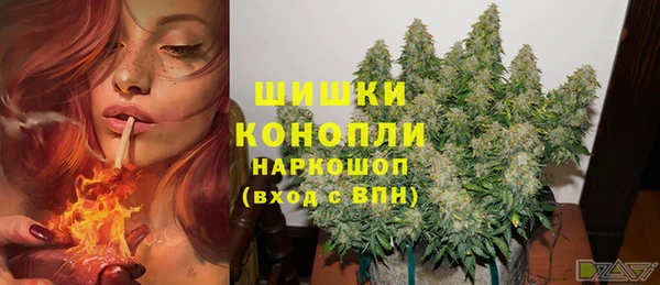 ALPHA PVP Новодвинск