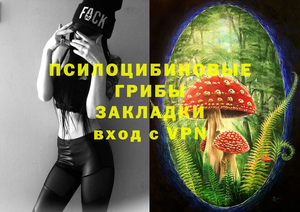 скорость Новокубанск