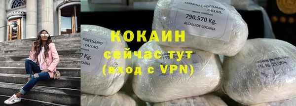 тгк Новозыбков